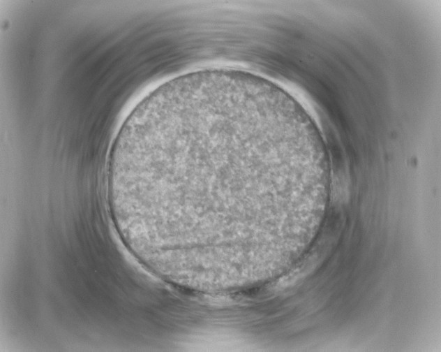 X0000085250911200704092045