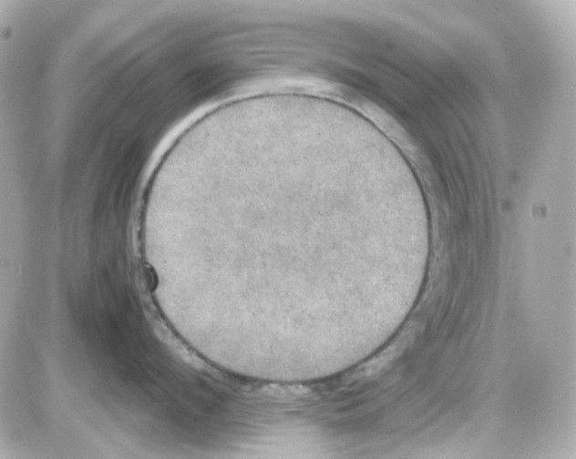 X0000085250912200704092045