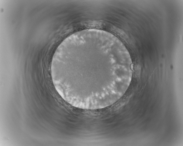 X0000085250913200704092045