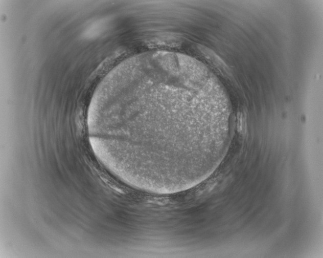 X0000085250915200704092045