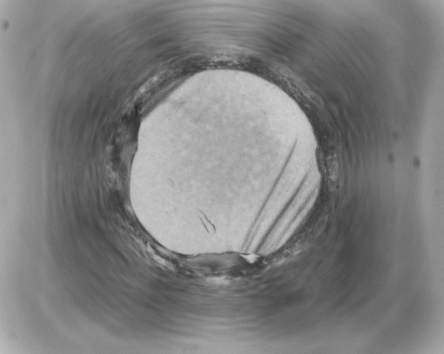 X0000085250916200704092045