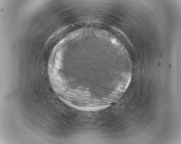 X0000085250919200704092045