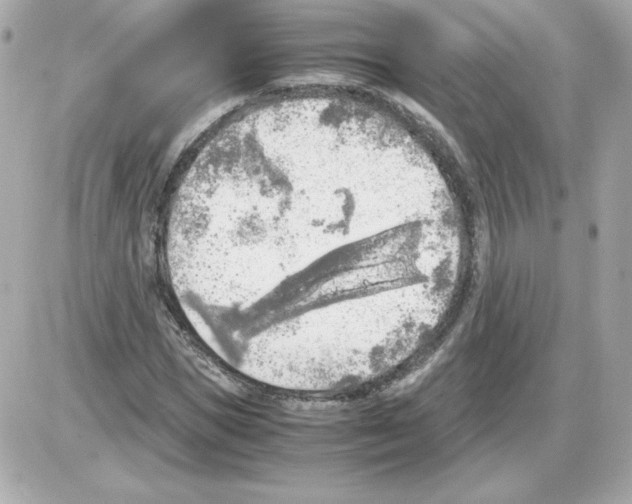 X0000085250921200704092045