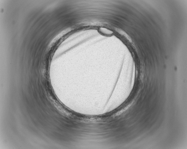 X0000085250922200704092045