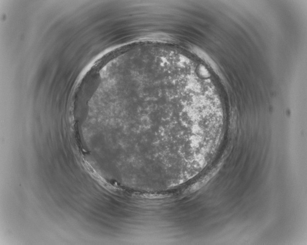 X0000085250923200704092045