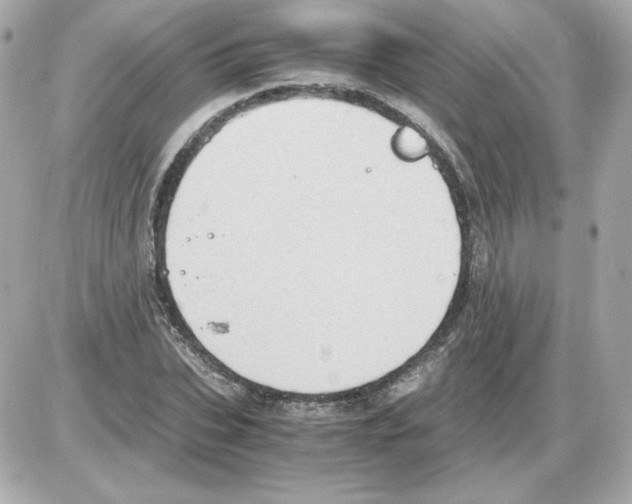 X0000085250927200704092045