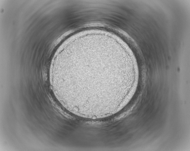 X0000085250929200704092045