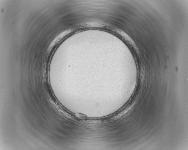 X0000085250930200704092045