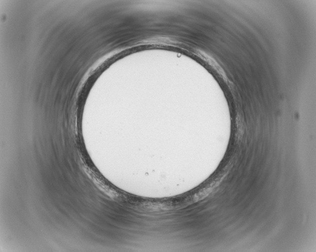 X0000085250931200704092045