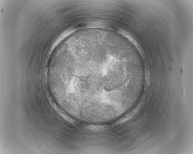 X0000085250933200704092045