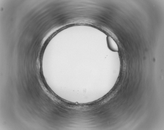 X0000085250936200704092045