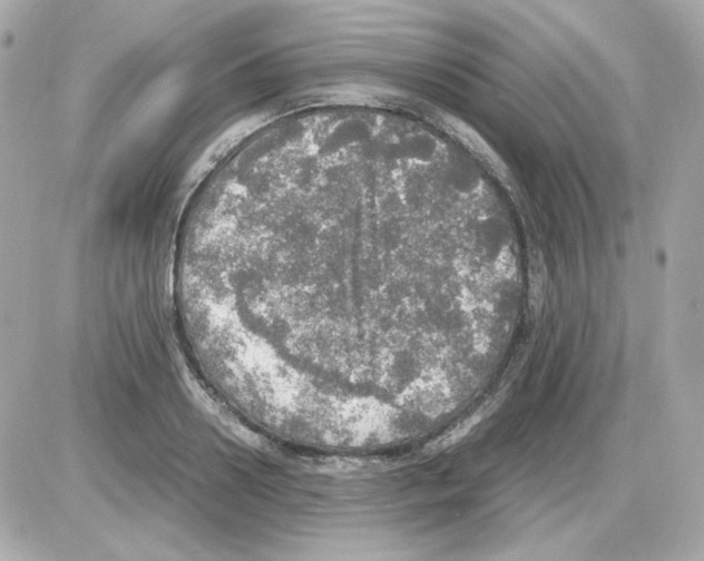 X0000085250938200704092045