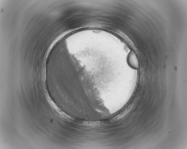 X0000085250939200704092045