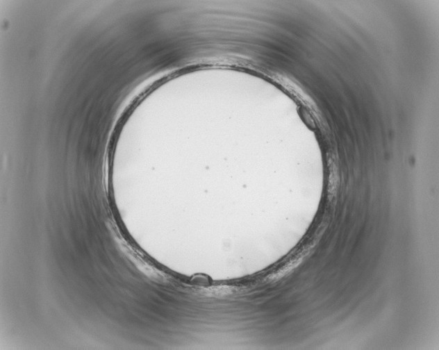 X0000085250940200704092045