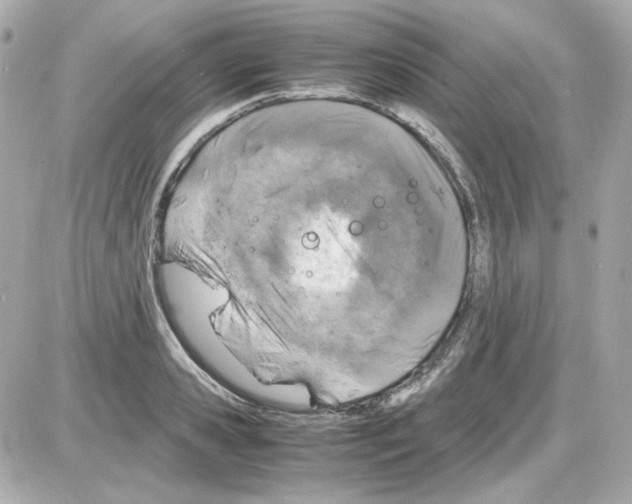 X0000085250941200704092045