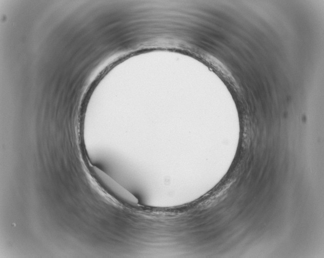 X0000085250942200704092045