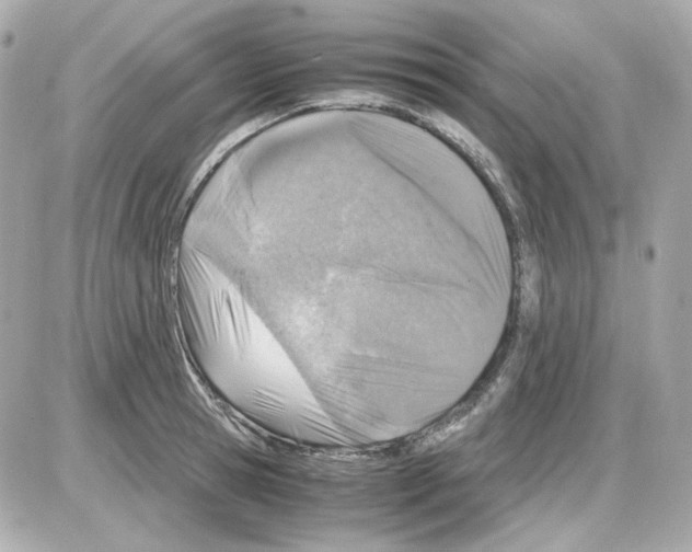 X0000085250945200704092045