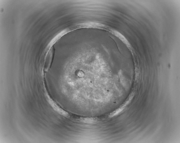 X0000085250946200704092045