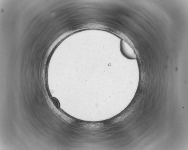 X0000085250947200704092045