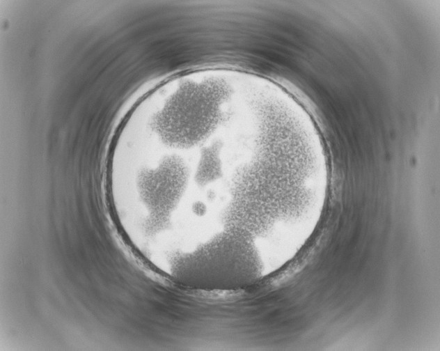 X0000085250949200704092045