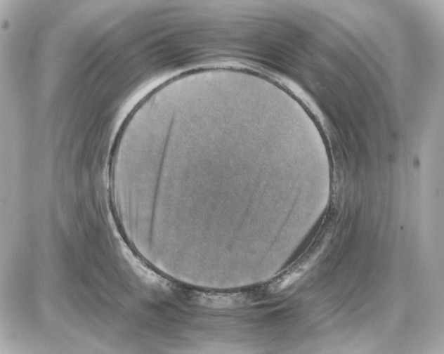 X0000085250951200704092045