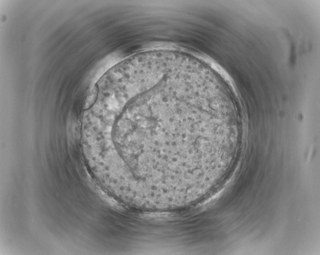 X0000085250953200704092045