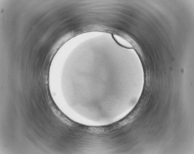 X0000085250954200704092045