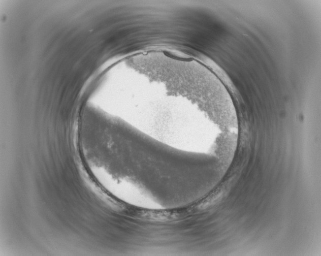 X0000085250955200704092045