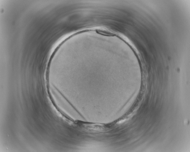 X0000085250959200704092045