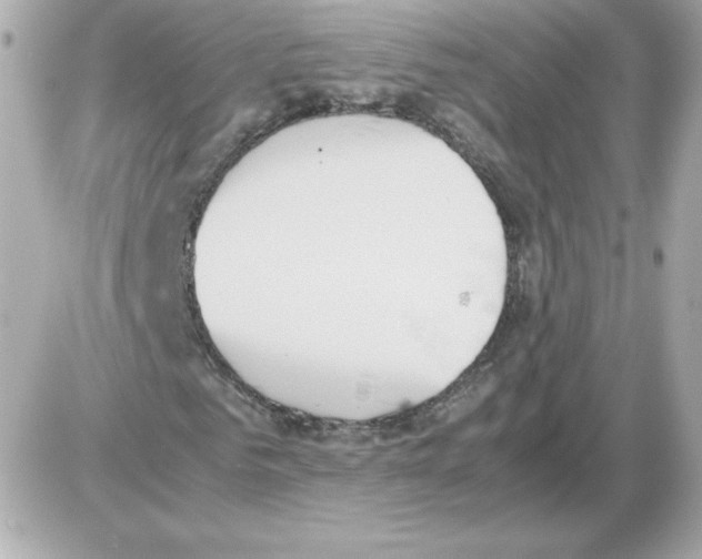 X0000085250961200704092045