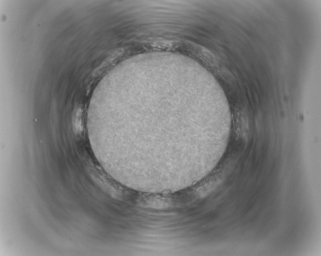 X0000085250962200704092045