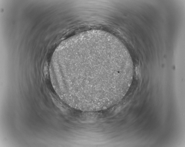 X0000085250963200704092045