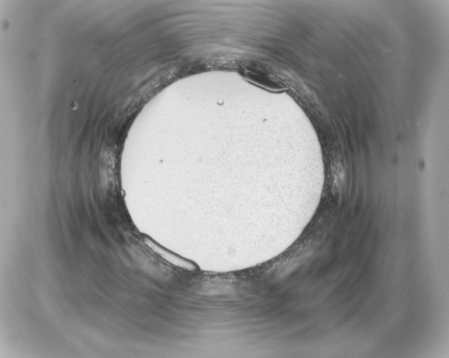 X0000085250964200704092045