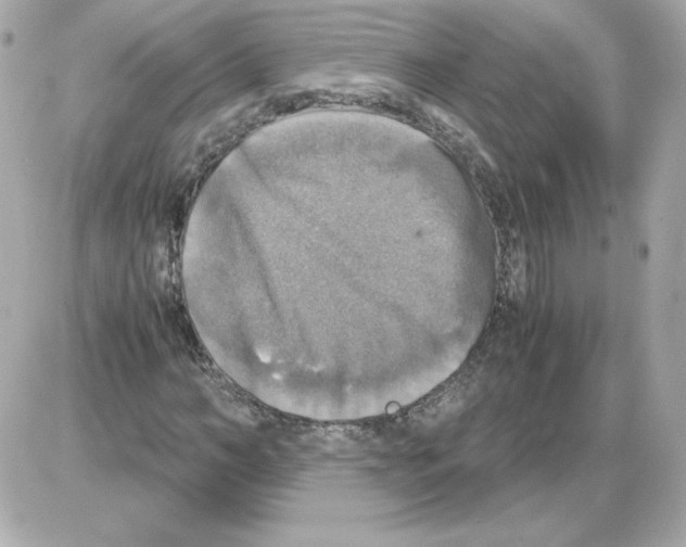 X0000085250966200704092045