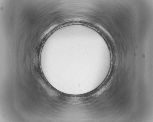 X0000085250969200704092045