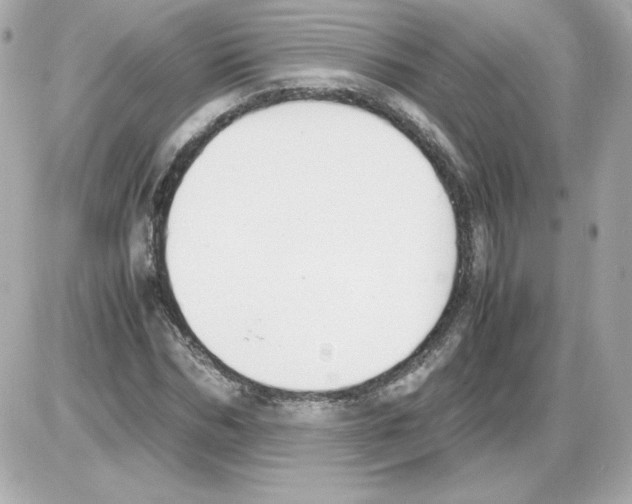 X0000085250970200704092045