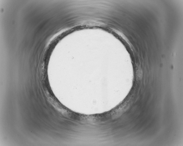 X0000085250971200704092044