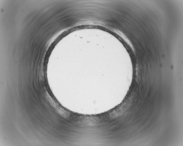 X0000085250972200704092044