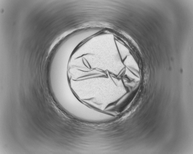 X0000085250973200704092044