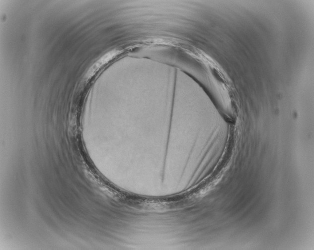 X0000085250977200704092044