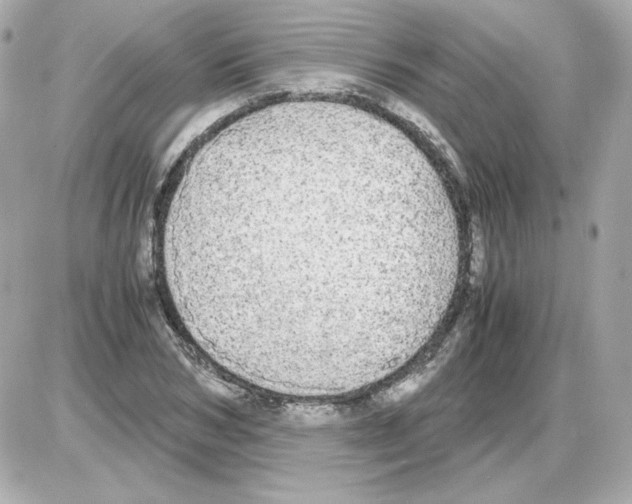 X0000085250978200704092044