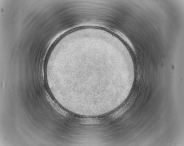 X0000085250980200704092044