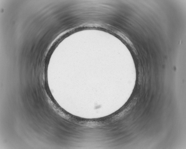 X0000085250984200704092044