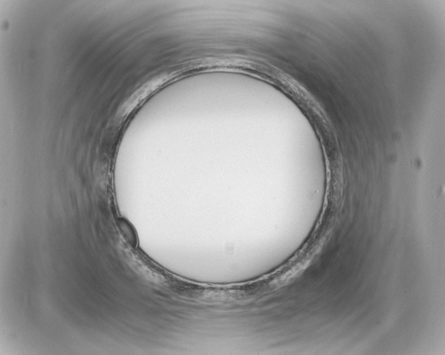 X0000085250985200704092044