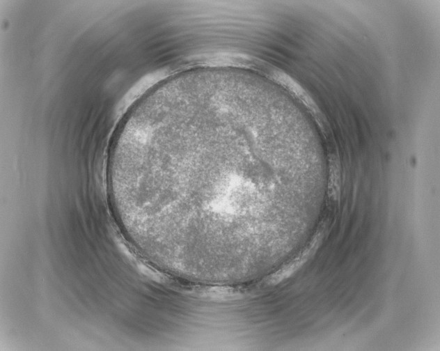 X0000085250986200704092044