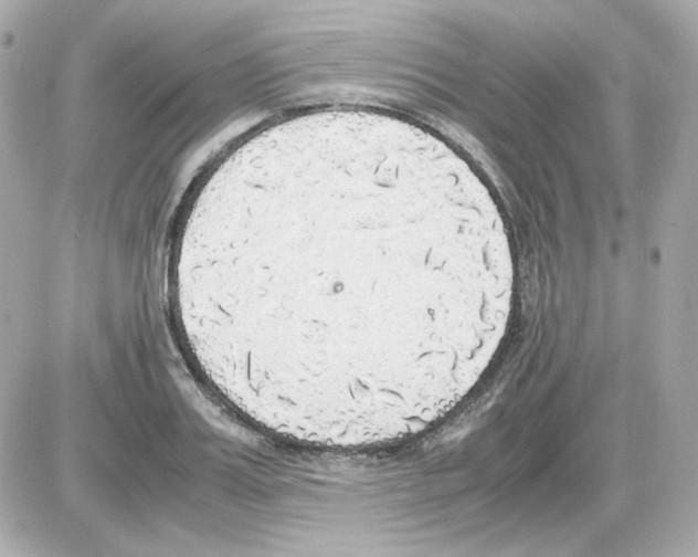 X0000085250987200704092044