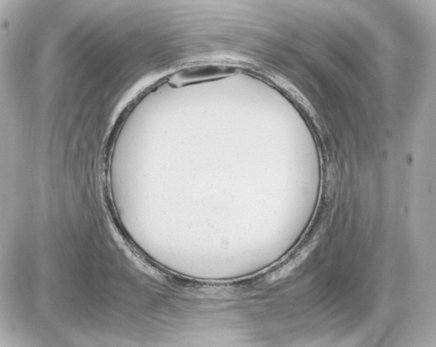 X0000085250989200704092044