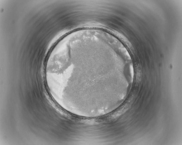 X0000085250990200704092044