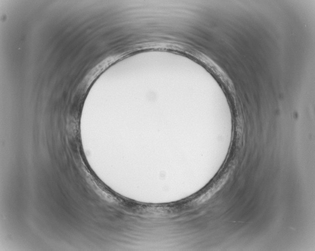 X0000085250993200704092044