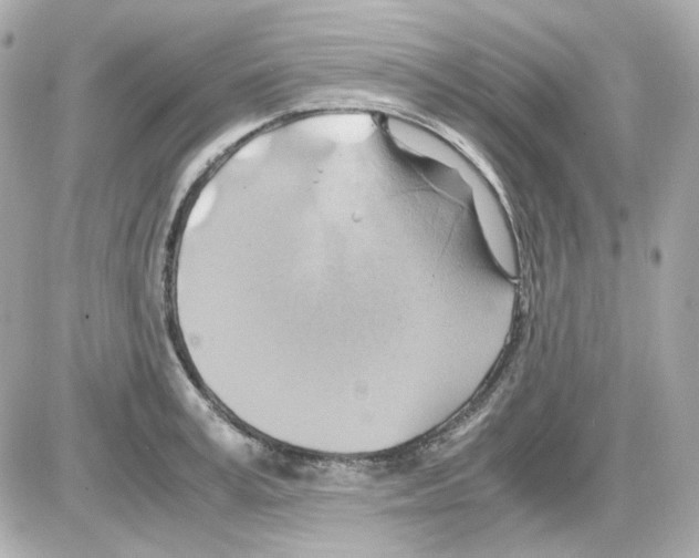 X0000085250995200704092044